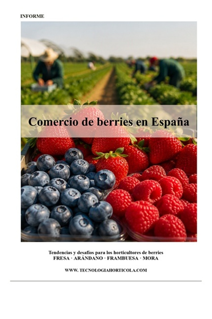 Comercio de berries en españa